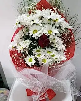 beyaz papatya tek kırmızı gül