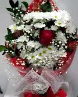 beyaz papatya tek kırmızı gül