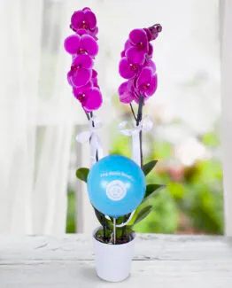 2 dal mor orkide