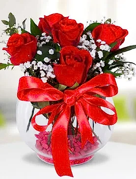 5 kırmızı gül fanus