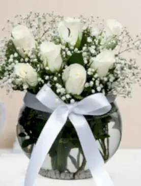 7 beyaz gül fanus