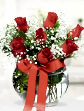 7 kırmızı gül fanus