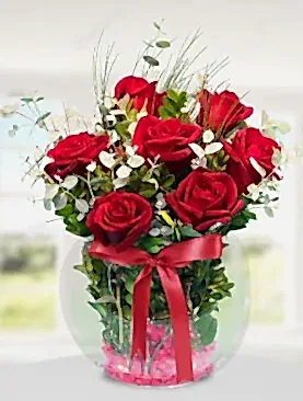 7 tane kırmızı gül fanus