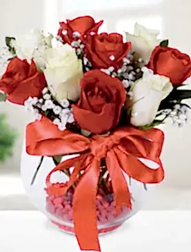 5 kırmızı gül 4 beyaz gül fanus