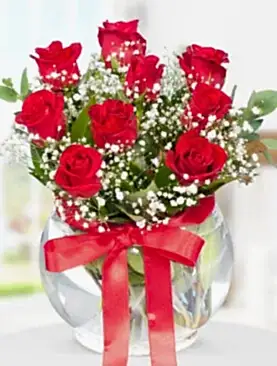 9 kırmızı gül fanus