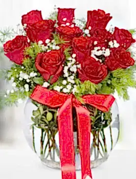 12 tane kırmızı gül fanus