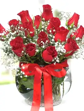 15 kırmızı gül fanus