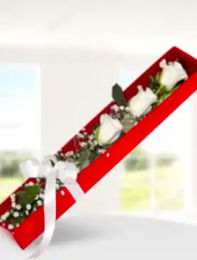 3 beyaz gül kutu