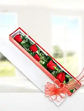 5 kırmızı gül kutu