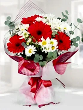 kırmızı gerbera papatya buket
