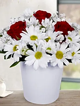 3 kırmızı gül beyaz papatya seramik