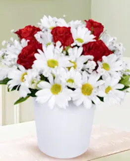 5 kırmızı gül beyaz papatya seramik