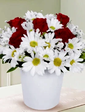 5 kırmızı gül beyaz papatya seramik