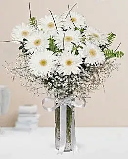 9 beyaz gerbera vazo