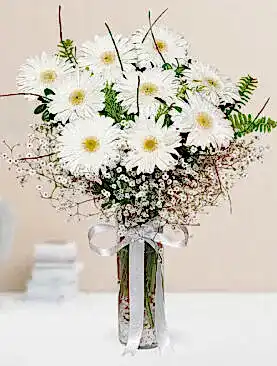 9 beyaz gerbera vazo