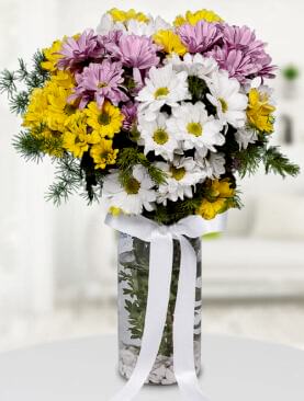 renkli papatyalar vazo