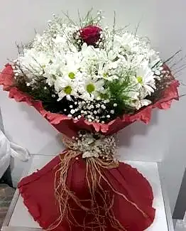 beyaz papatya tek kırmızı gül