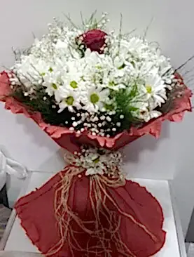 beyaz papatya tek kırmızı gül