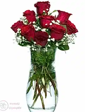 Vazoda 9'lu Kırmızı Gül